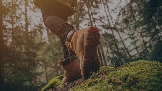Pop's Authentic Meat Snacks: Fueling Adventure For Hikers And Campers